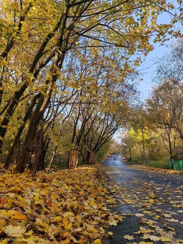 Солнце озарило деревенские улицы 🏡🍁