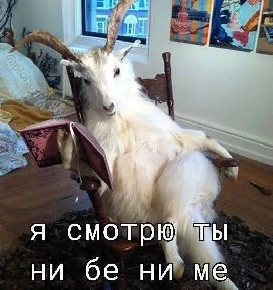когда общаешься с японцами и на секунду задумался над ответом
