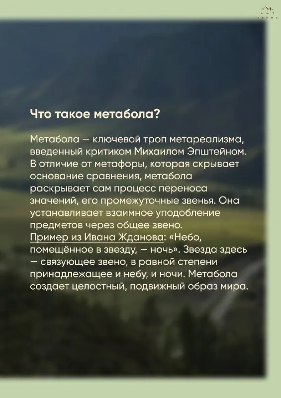 Продолжаем рассказывать о современных поэтических течениях 🪶