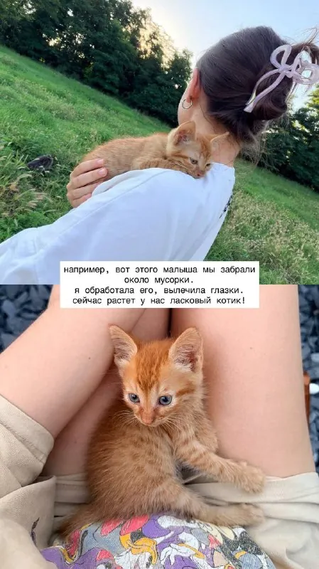 перед тем как публиковать кейс, хочу рассказать о своих мотивах.