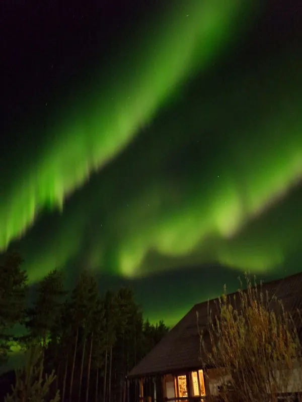 Как сейчас полыхало небо 💚💚💚