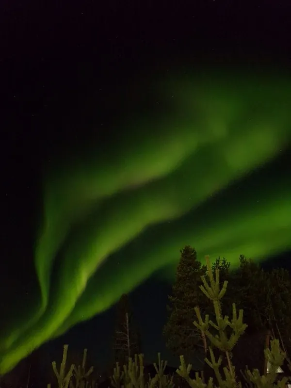 Как сейчас полыхало небо 💚💚💚