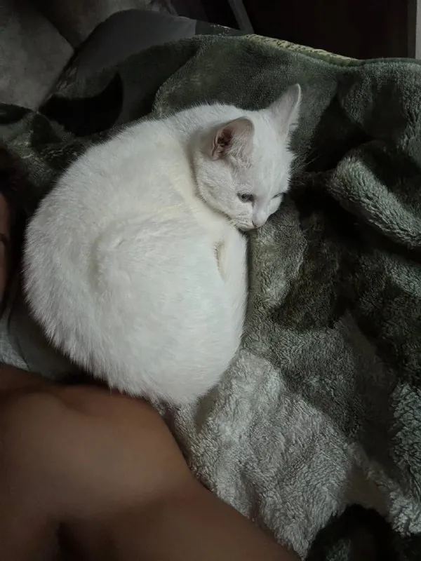 отдыхаем после сорев с котиком 😪 🥱
