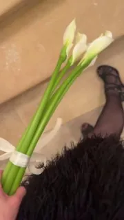 🦢 Вчера был фееричный выход на балет П.И.