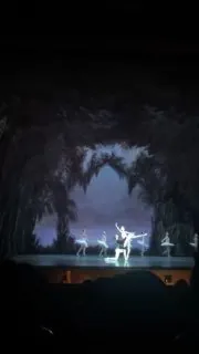 🦢 Вчера был фееричный выход на балет П.И.