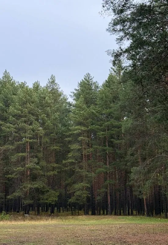 Я чувствую какой-то хоа-хоа-хоа вайб в этих фотках 🙈✨