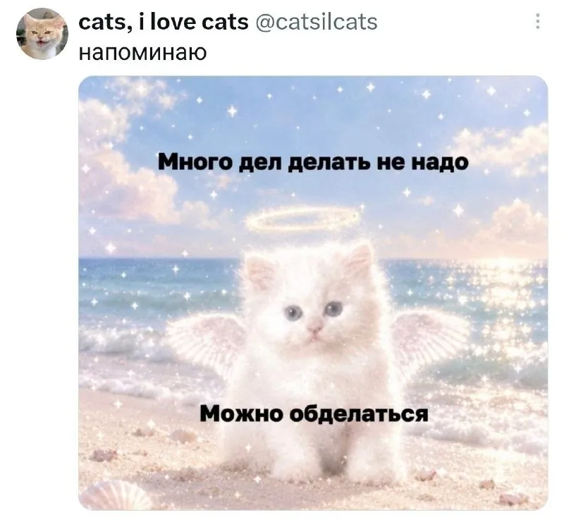 Настроение сегодняшнего дня.