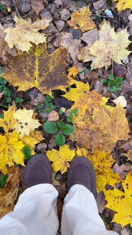 у нас рядом с домом есть лес, и я никогда не устану радоваться этому 🍂🤎