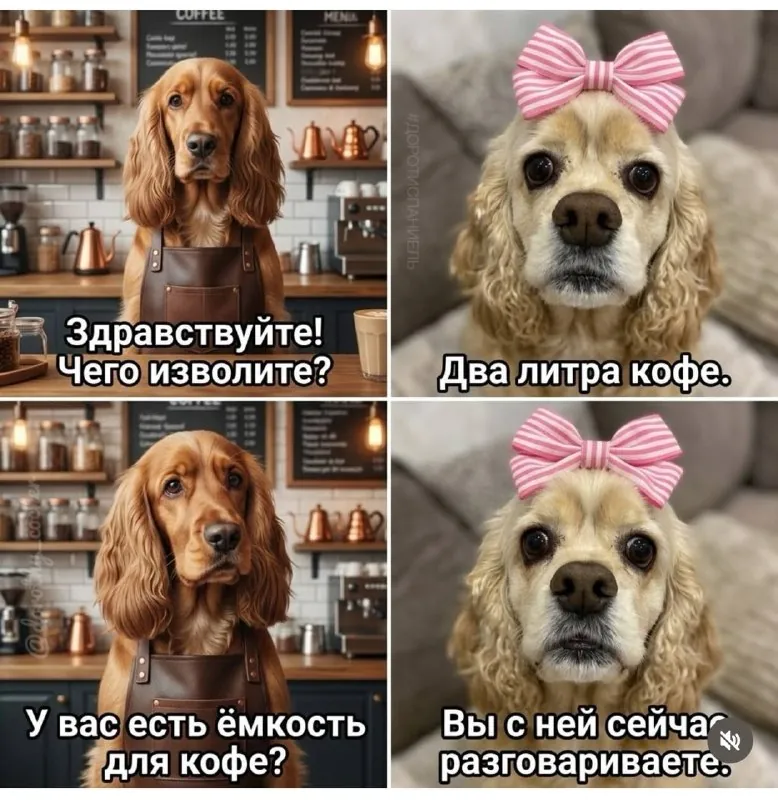 Муд по жизни