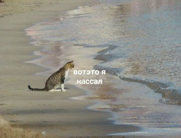 с днем новой главы!