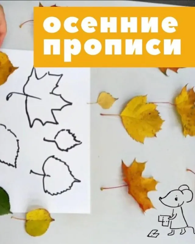 За полтора месяца учёбы в школе каждый первоклассник успевает узнать, что такое прописи.
