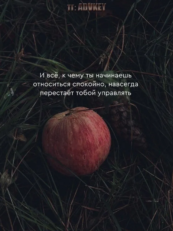 @mudryemyslicitaty