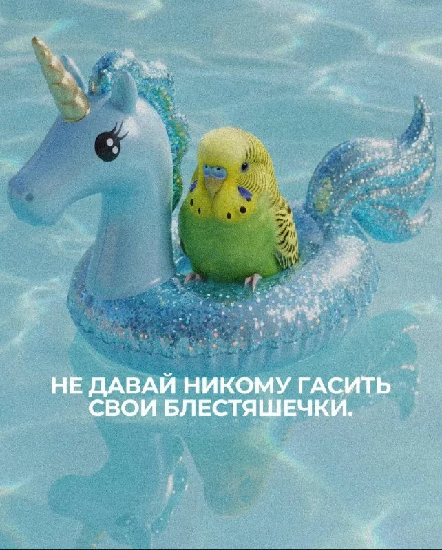 Считаю, что найден идеальный жизненный девиз.