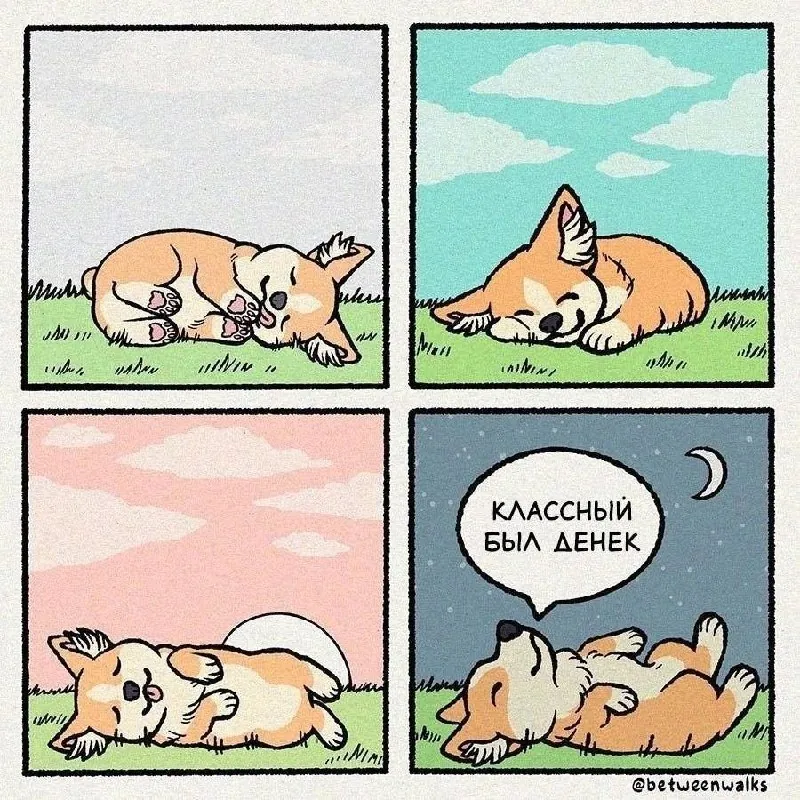 мой сегодняшний день...