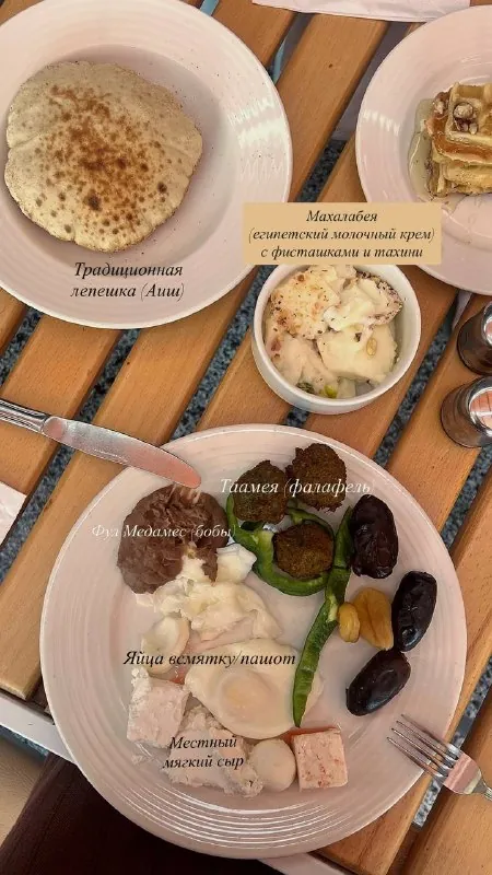 «Тарелка местного жителя»