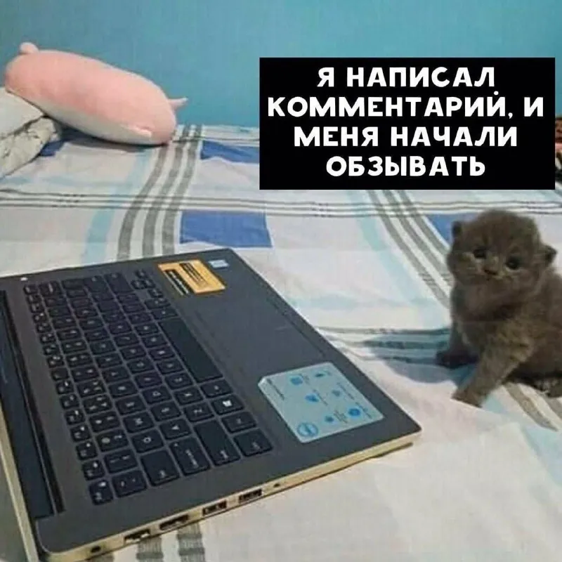 В итоге никаких праздников эфиопских не захотелось, не сочных фалафелей, не безудержного веселья.