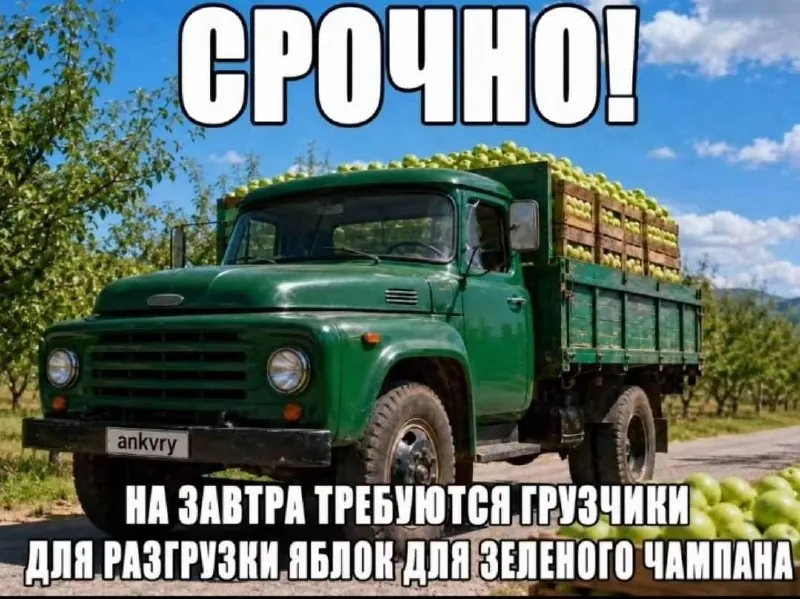 В итоге никаких праздников эфиопских не захотелось, не сочных фалафелей, не безудержного веселья.