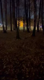 ⭐️Какая она красотка, какая она живая, бегала со мной в темноте играя...