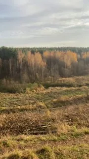 Ни разу не фуд-контент
