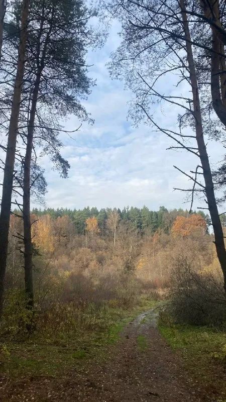 Ни разу не фуд-контент