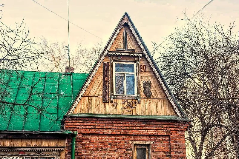 Секретный сосновый парк в Царицыно.