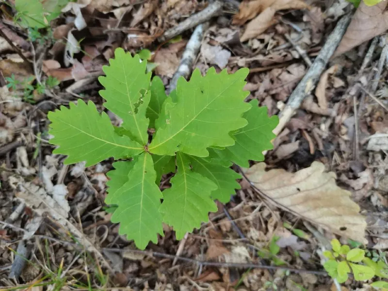 Октябрь на Канале, остров Русский🍁