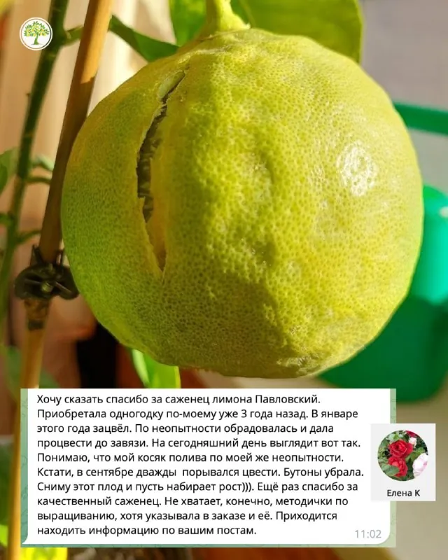 Получили вот такой отзыв, делимся с вами 💚