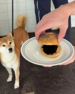 бейглыы!! все выходные в péna!!!