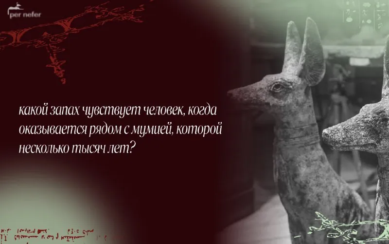 из чего на самом деле состоит запах египетской мумии?