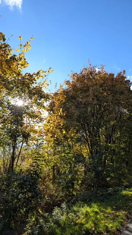 Реальность, которая превзошла ожидания 🧡
