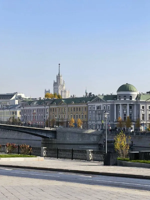 Картинки недели 🤎
