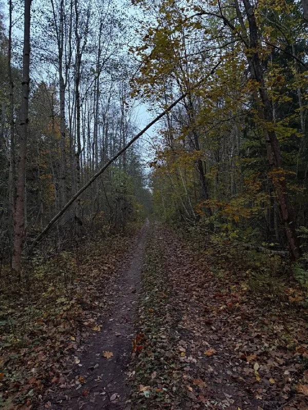 Самайн🎃