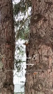 Абсолютно точно — это самая лучшая поездка в Петербург за все визиты!