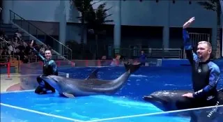 🐬Новый опыт в Фуяне!