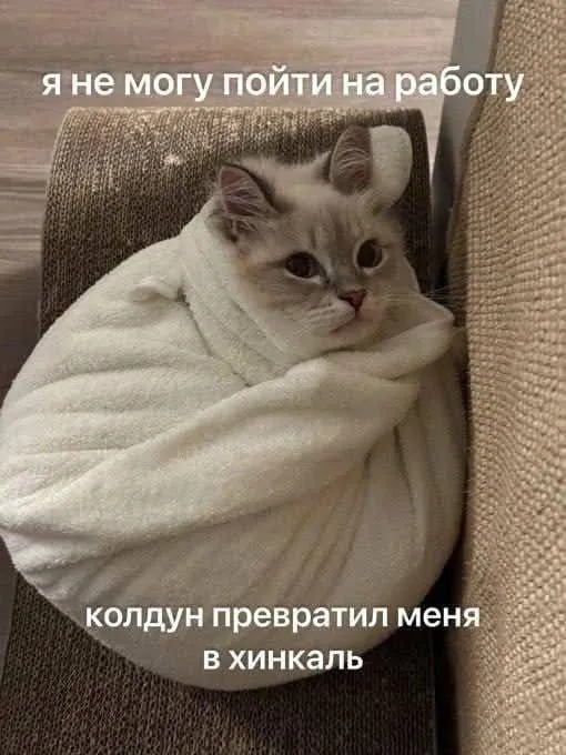 Всем бодрой рабочей недели, коллеги!