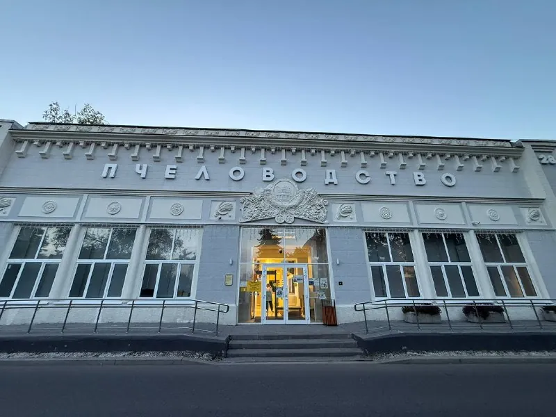 Ребята, всем привет!