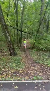Краткое лирическое отступление.