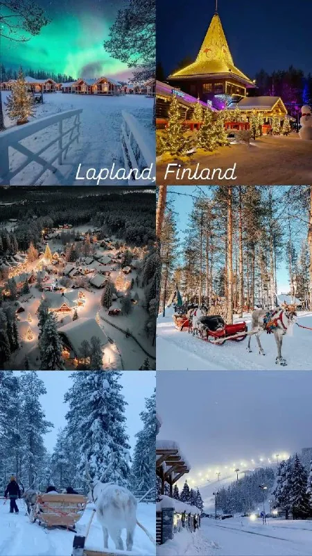 Фото из поста ригсио