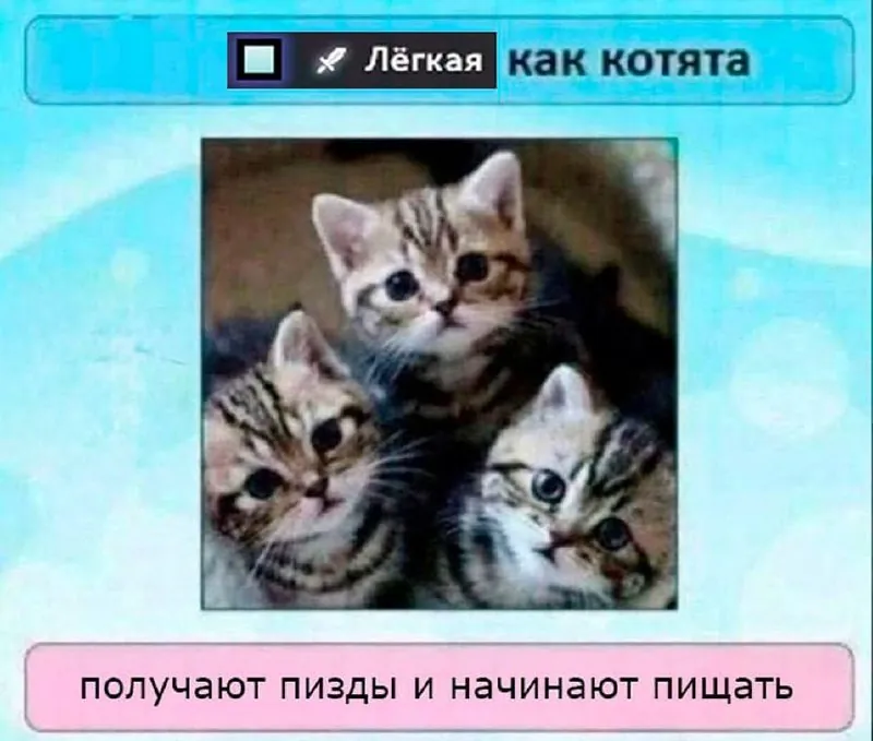 База керри