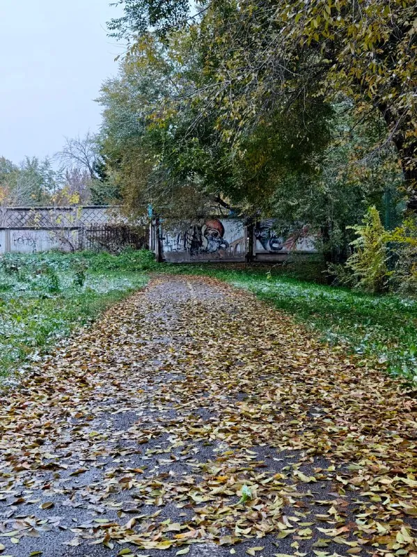 Интересно, включают ли стадион школы номер 100 города Красноярска в какие-нибудь отчеты чиновников о местной…