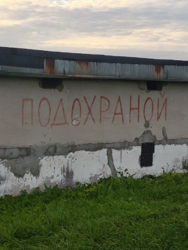 Вчера наконец покатались на лодке по «Нарвской Венеции».