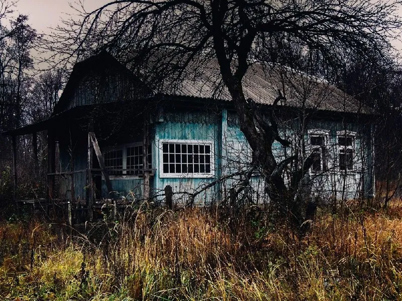 🏚️ ЗАБРОШЕННЫЕ УЧАСТКИ В ПОДМОСКОВЬЕ: КАЖДЫЙ ТРЕТИЙ ЛОТ — ЗАПУЩЕННЫЙ
