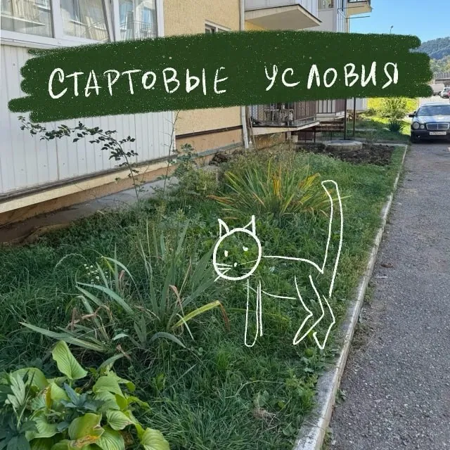 Хорошенький вопрос сегодня задали на курсе кустарниковых композиций: что я хочу сделать с помощью растений на участке?