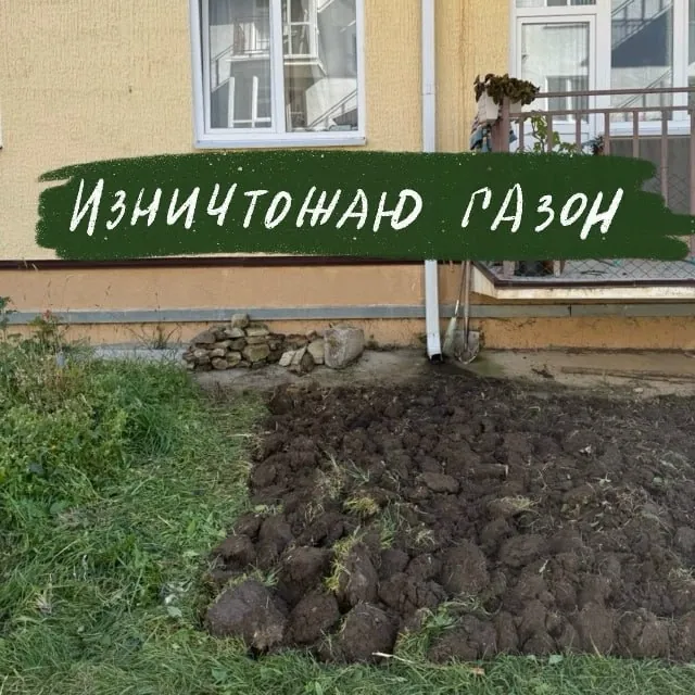 Хорошенький вопрос сегодня задали на курсе кустарниковых композиций: что я хочу сделать с помощью растений на участке?