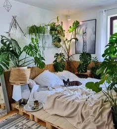 Растения в интерьере - акцент на листьях 🌱🌱