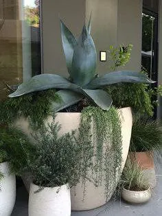 Растения в интерьере - акцент на листьях 🌱🌱