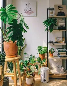 Растения в интерьере - акцент на листьях 🌱🌱