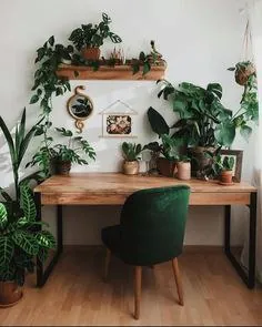 Растения в интерьере - акцент на листьях 🌱🌱
