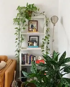 Растения в интерьере - акцент на листьях 🌱🌱
