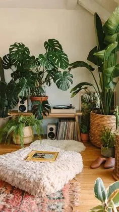 Растения в интерьере - акцент на листьях 🌱🌱